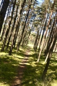 7 Priežastys, kodėl verta daugiau laiko praleisti gryname ore