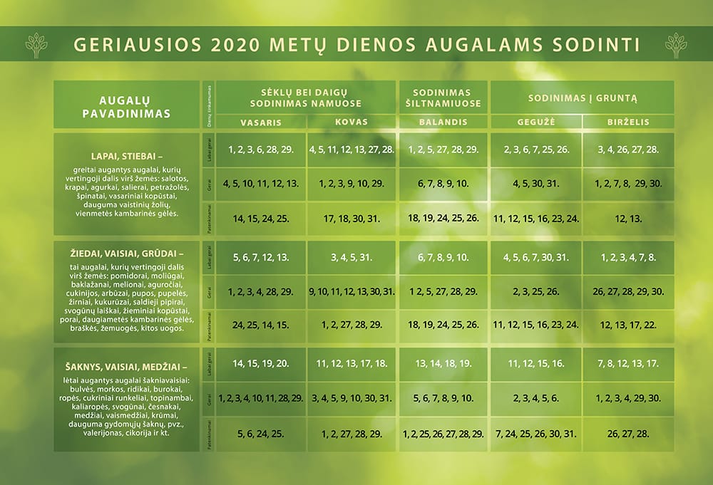 sejos kalandorius, 2020 metu sejos kalendorius