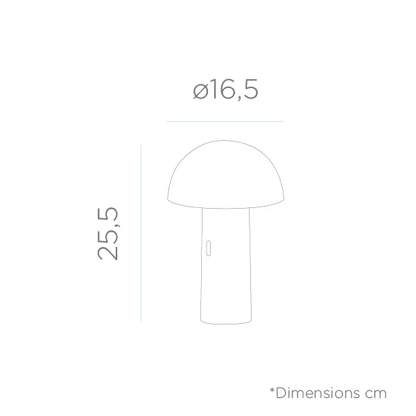 šviestuvas, kavinėms, viešbučiams, namamas, terasoms, barams, SPA, biurams
